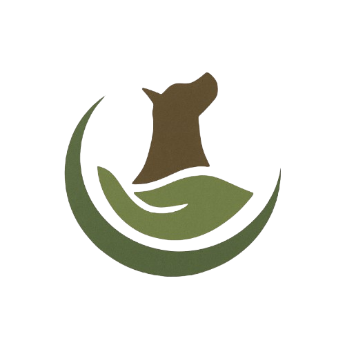 Ekasa new logo